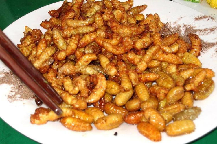 傣味蜂蛹 傣味蜂蛹