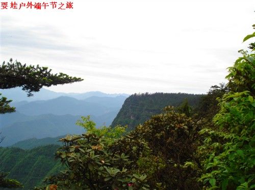 柳江運動 柳江運動