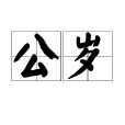 公歲 公歲
