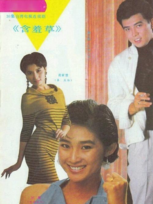 含羞草(1987年劉瑞琪、張佩華主演的電視劇集) 含羞草(1987年劉瑞琪、張佩華主演的電視劇集)