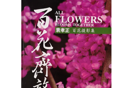百花齊放(2008年四川美術出版社出版的圖書) 百花齊放(2008年四川美術出版社出版的圖書)