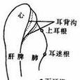 降壓溝 降壓溝