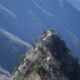 衡山國 衡山國
