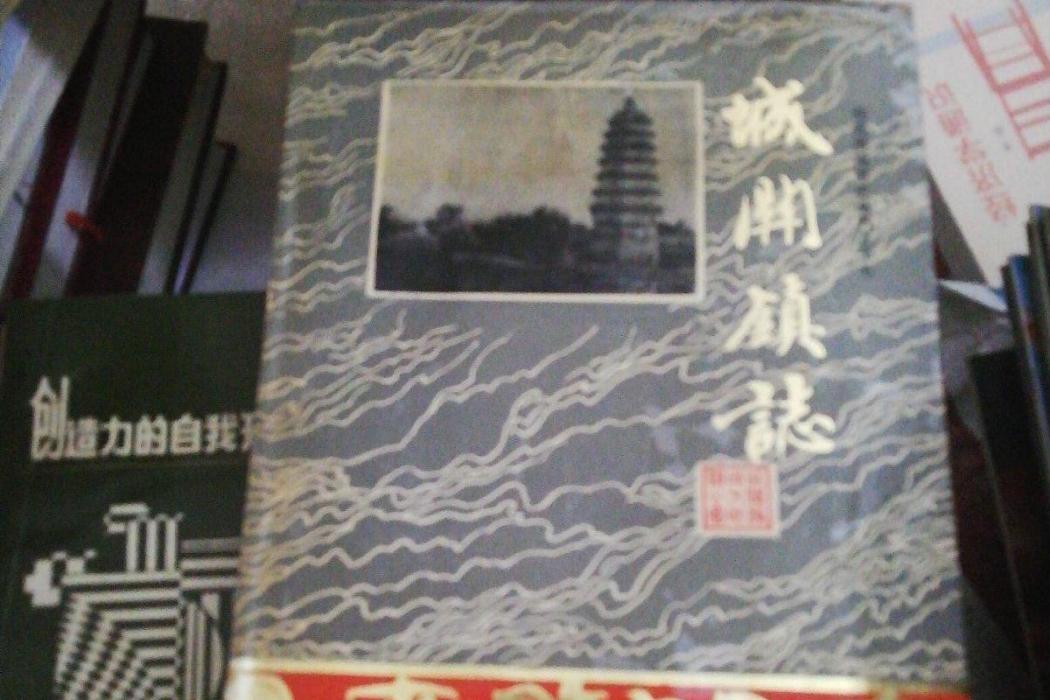 城關鎮志 城關鎮志