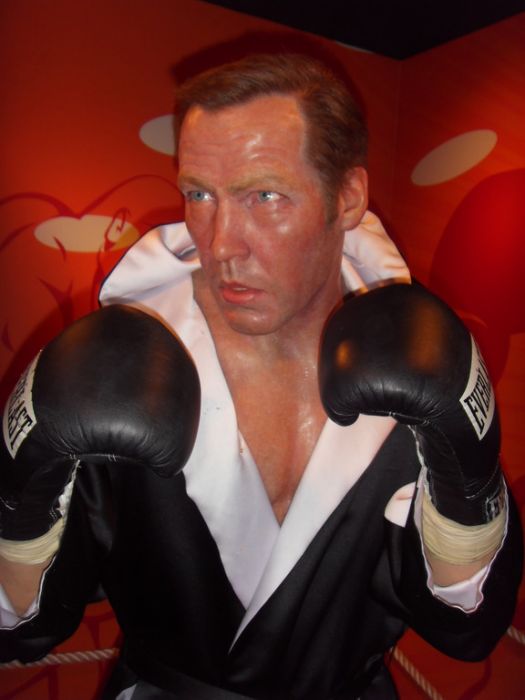亨利·馬斯克(Henry Maske) 亨利·馬斯克(Henry Maske)