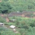 大寨山村(雲南省普洱市寧洱鎮普義鄉大寨山村)