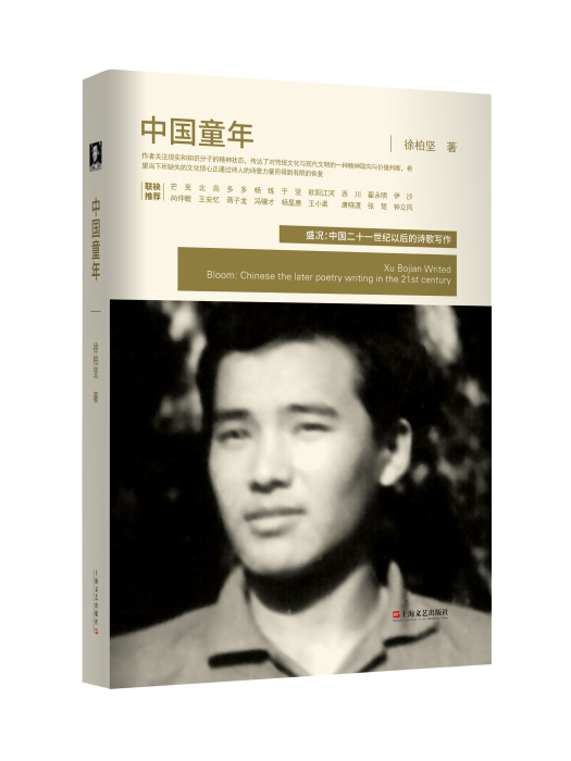 中國童年(2023年上海文藝出版社出版的圖書) 中國童年(2023年上海文藝出版社出版的圖書)