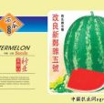 齊雜5號 齊雜5號
