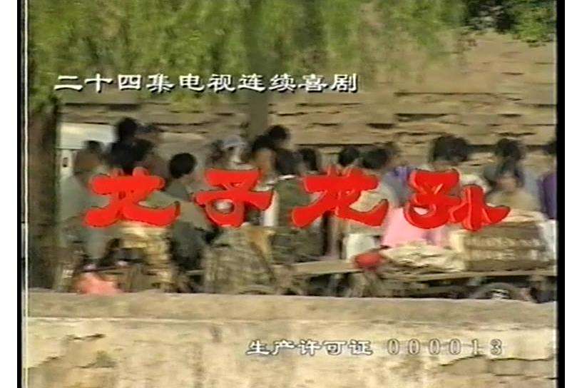 龍子龍孫(1997年邵芳、宮曉東執導的電視劇) 龍子龍孫(1997年邵芳、宮曉東執導的電視劇)