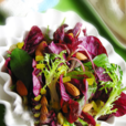 清炒覓菜 清炒覓菜