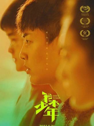 徐宏傑(中國內地影視演員)