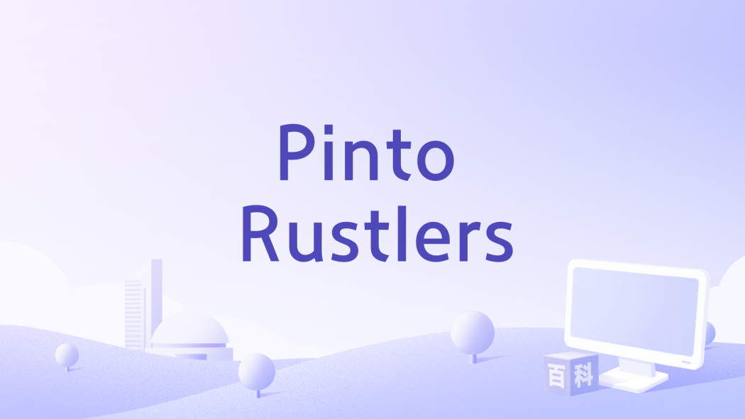 Pinto Rustlers Pinto Rustlers
