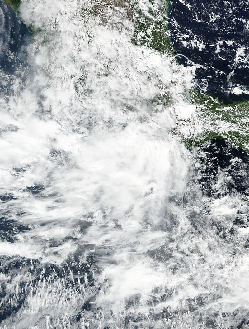 熱帶風暴雷蒙 衛星雲圖
