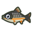 雅羅魚(遊戲《集合啦!動物森友會》中的動物角色) 雅羅魚(遊戲《集合啦!動物森友會》中的動物角色)