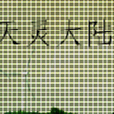 天靈大陸 天靈大陸