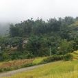 水頭寨村(雲南省金平縣馬鞍底鄉水頭寨村) 水頭寨村(雲南省金平縣馬鞍底鄉水頭寨村)