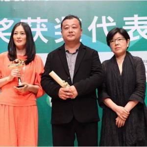 姚曉峰(中國內地男導演)