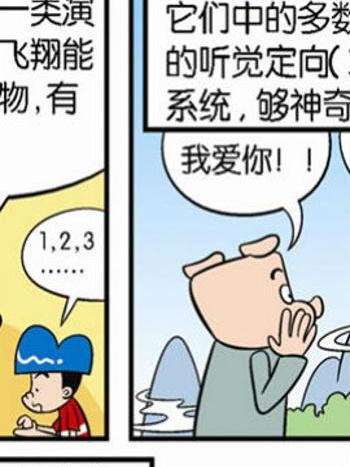 動物可笑堂37 動物可笑堂37