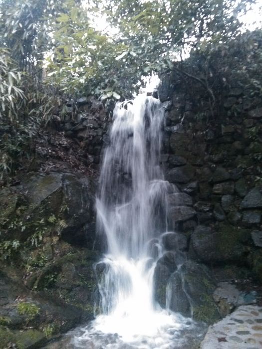 青嶺山 青嶺山