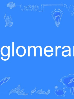 agglomerant agglomerant