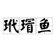 玳瑁魚 玳瑁魚