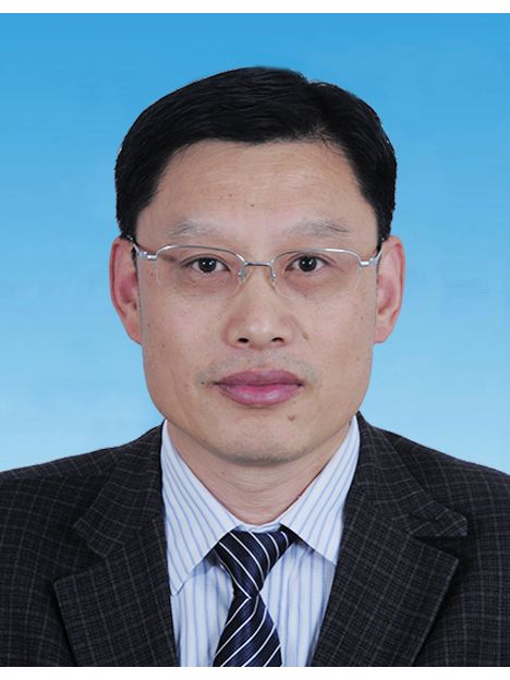 李振(山東省濟寧市汶上縣發展和改革局黨組書記、局長,三級調研員) 李振(山東省濟寧市汶上縣發展和改革局黨組書記、局長,三級調研員)