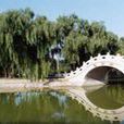 希望公園 希望公園