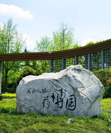 芙蓉長卷 芙蓉長卷