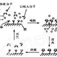 親和膜色譜 親和膜色譜