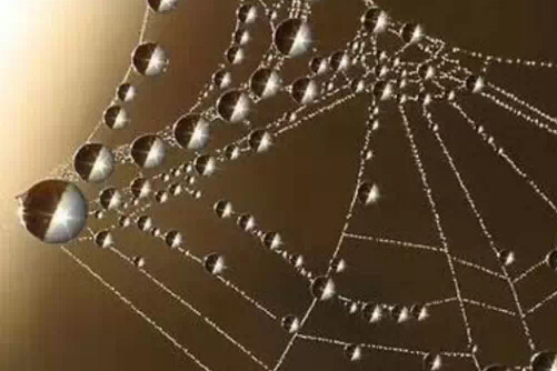思目堂 思目堂