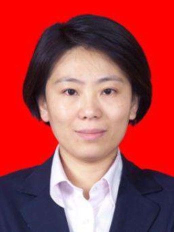 雷彬(天津市和平區南市街道黨工委副書記) 雷彬(天津市和平區南市街道黨工委副書記)