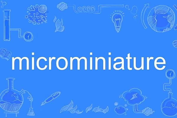 microminiature microminiature