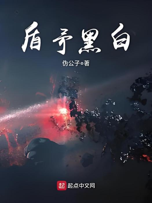盾矛黑白 盾矛黑白