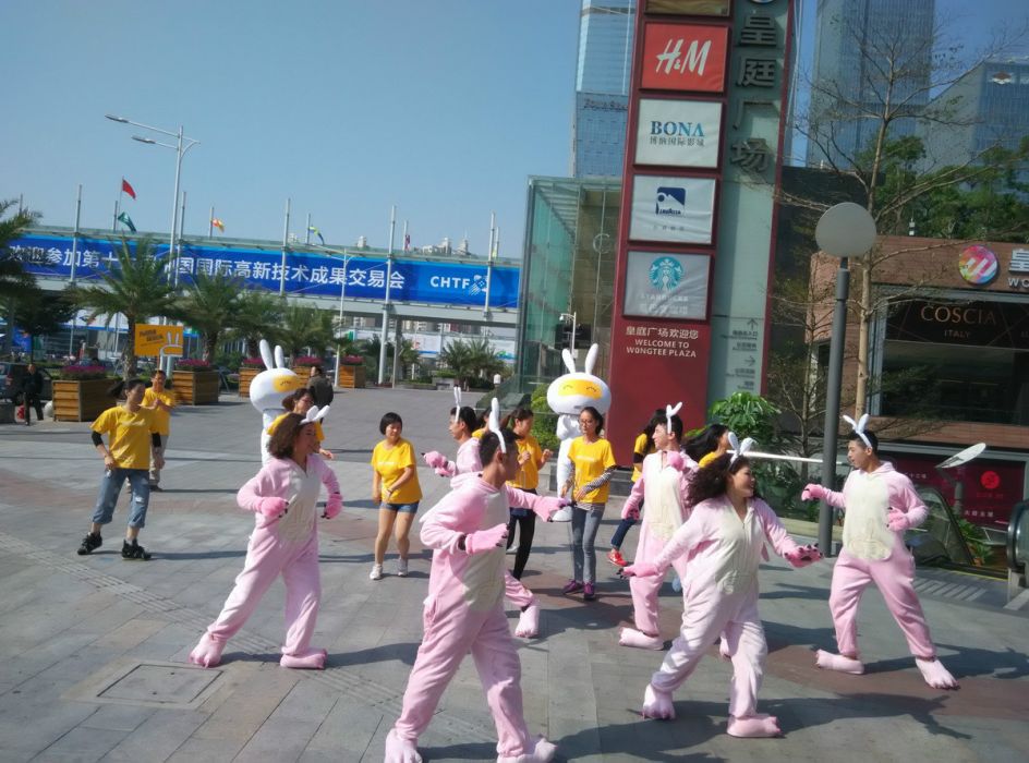 非兔操 非兔操