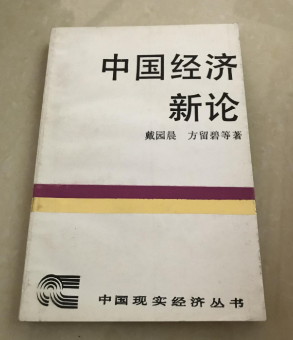 中國經濟新論 中國經濟新論