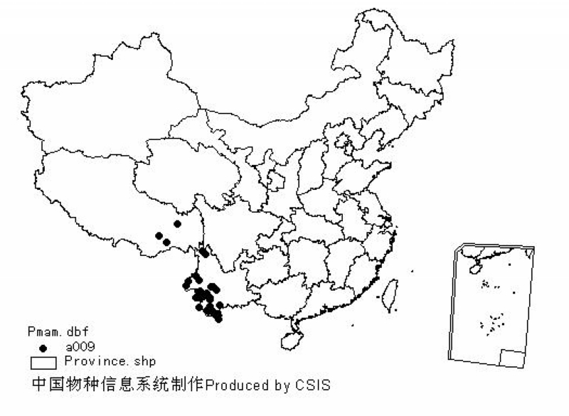 北豚尾猴分布示意圖－中國物種信息系統CSIS