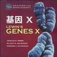 基因X 基因X