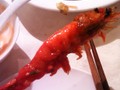 火焰蝦