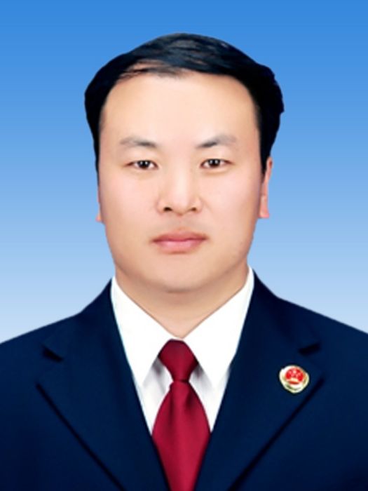 徐振華(吉林省梅河口市人民檢察院黨組成員、副檢察長) 徐振華(吉林省梅河口市人民檢察院黨組成員、副檢察長)