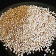 Sesame Seeds Sesame Seeds