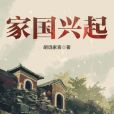 家國興起 家國興起
