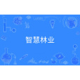 智慧林業(中國普通高等學校本科專業)