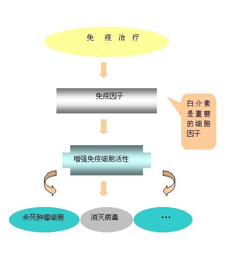 白介素-10 白介素-10