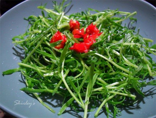 涼拌松柳芽 涼拌松柳芽