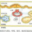 細胞內環境 細胞內環境
