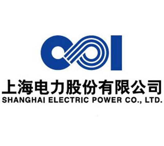 上海電力股份有限公司(上海電力)