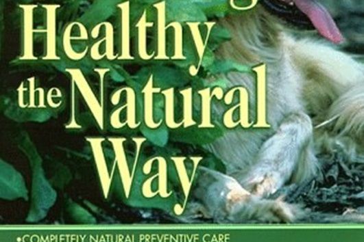 Keep Your Dog Healthy the Natural Way Keep Your Dog Healthy the Natural Way