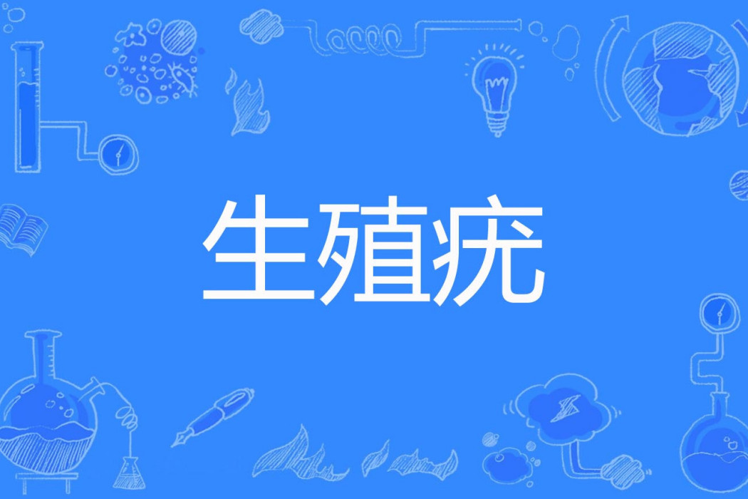 生殖疣 生殖疣