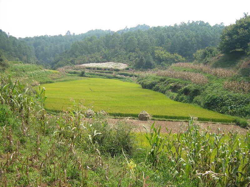 糯溝細村 糯溝細村