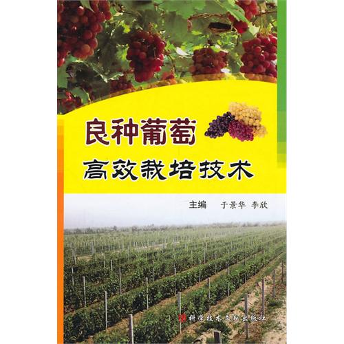 良種葡萄高效栽培技術